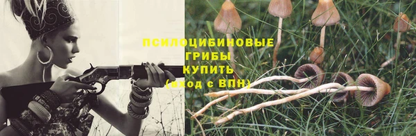 ALPHA PVP Алексин