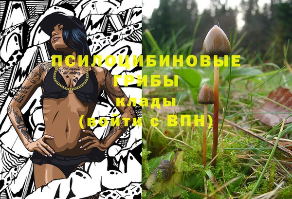 метадон Алексеевка
